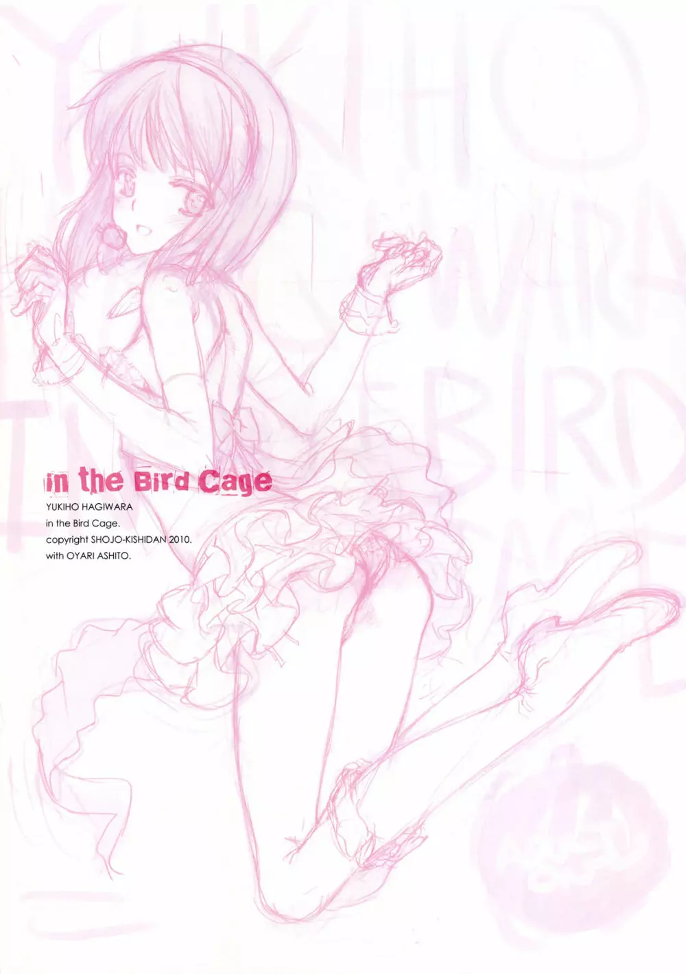 IDOLTIME SPECIAL BOOK YUKIHO HAGIWARA in the Bird Cage 3ページ