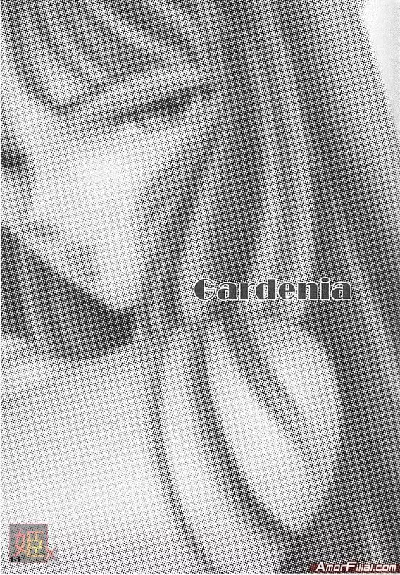Gardenia 2ページ