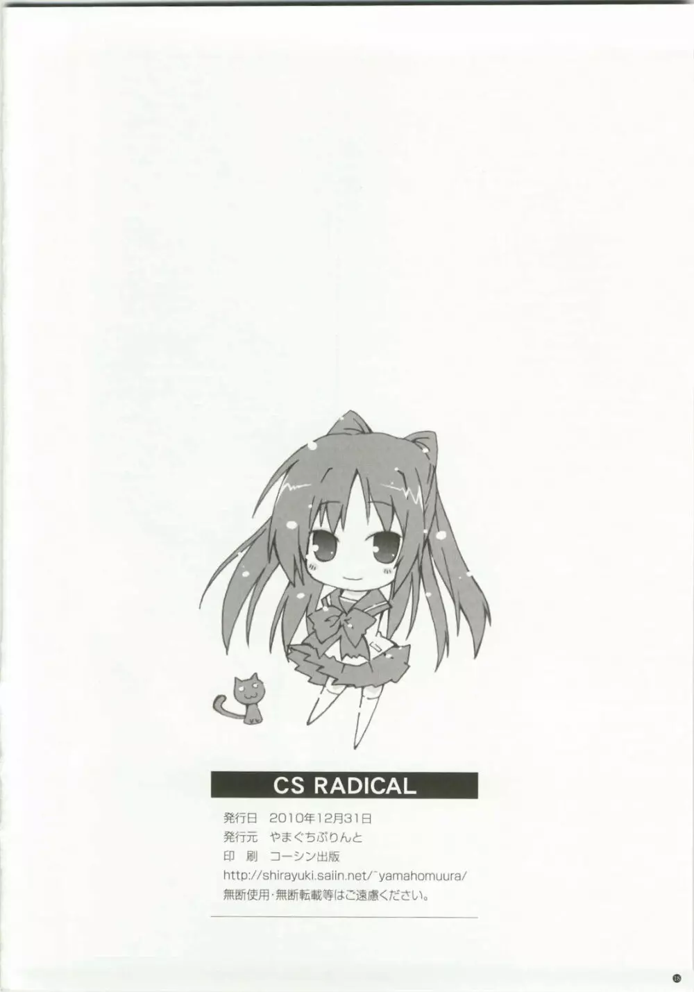 CS RADICAL 18ページ