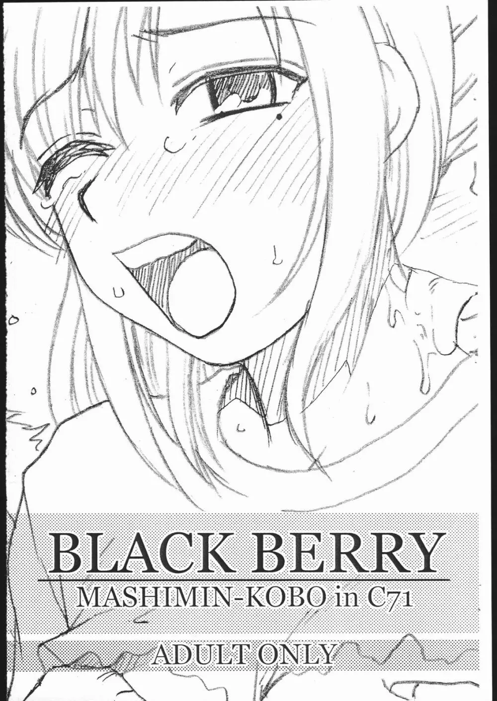 BLACK BERRY 1ページ