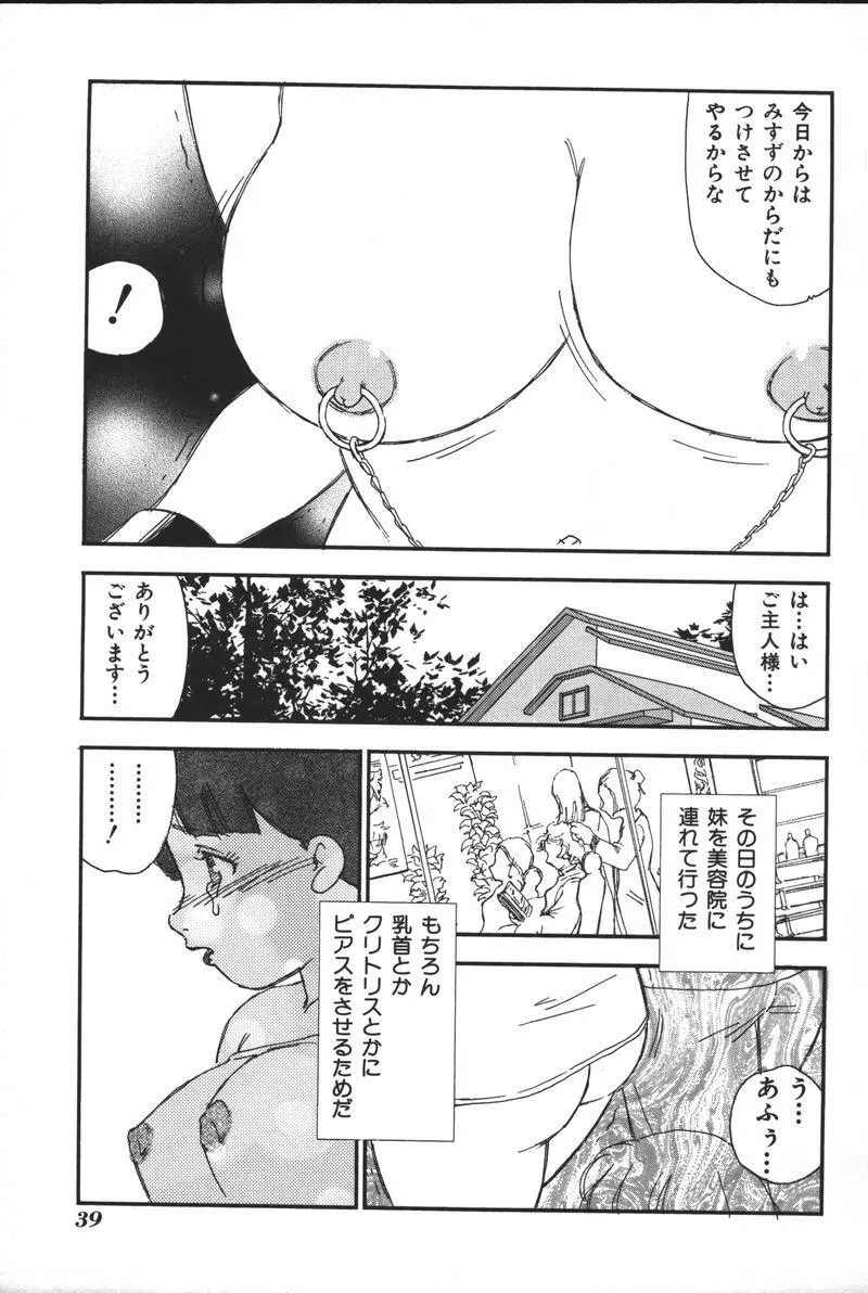 妹恋し Vol.3 41ページ