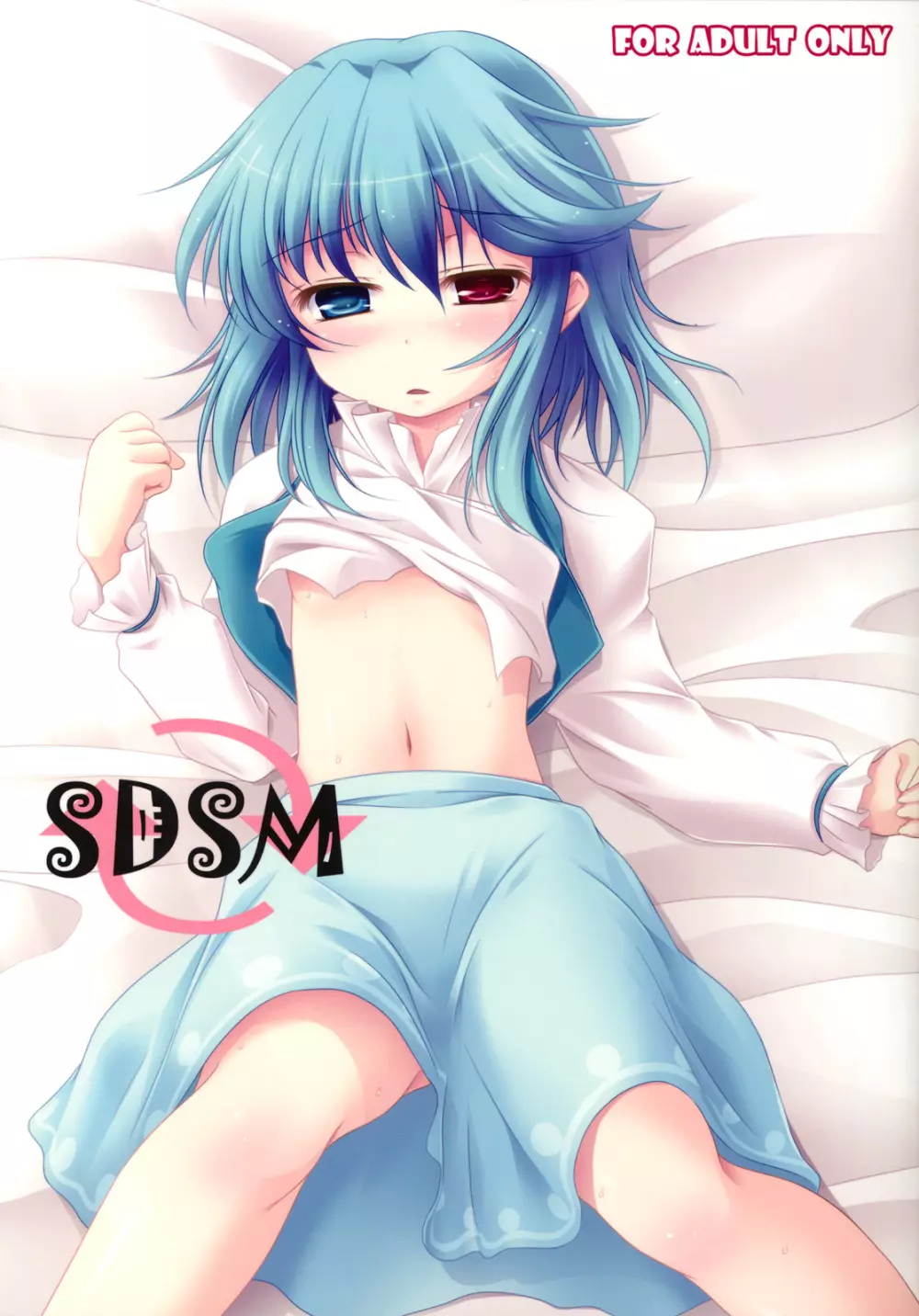 SDSM 1ページ