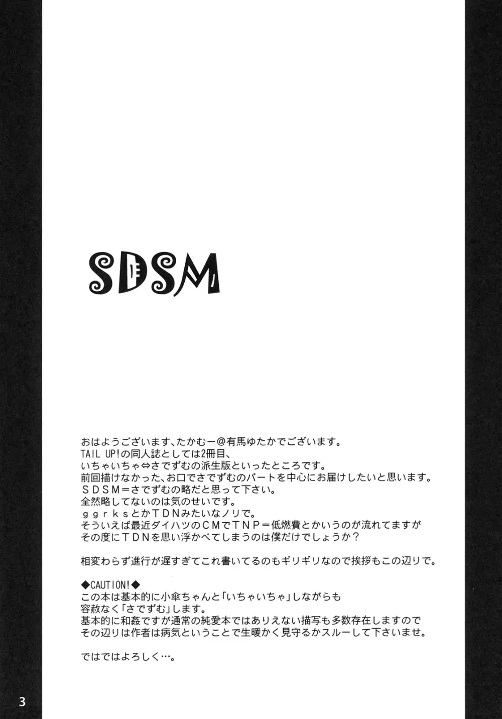 SDSM 2ページ