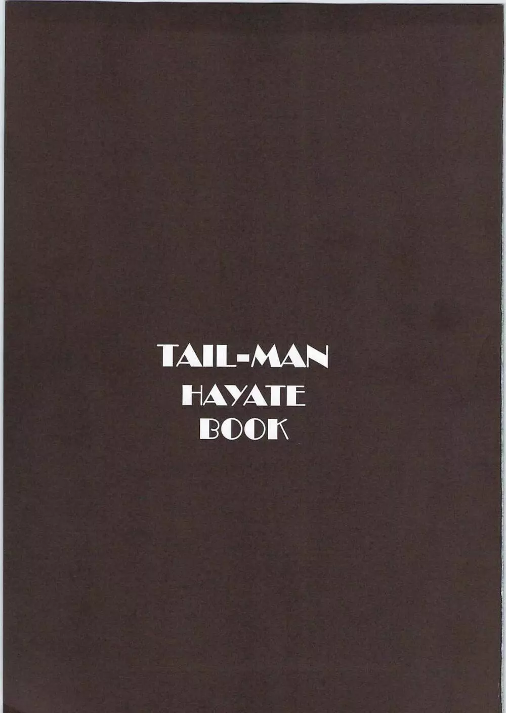 TAIL-MAN HAYATE BOOK 2ページ