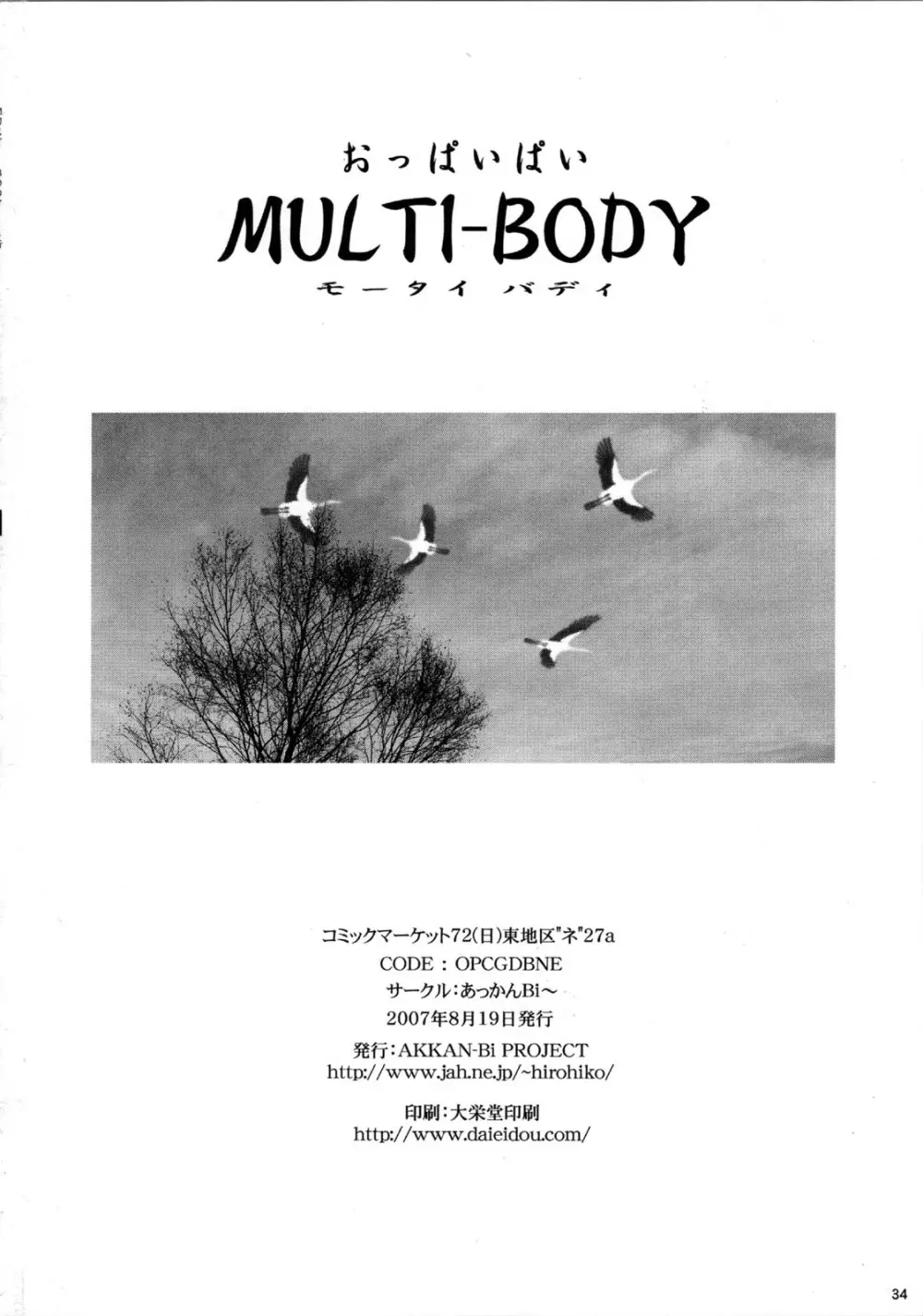 MULTI-BODY 34ページ