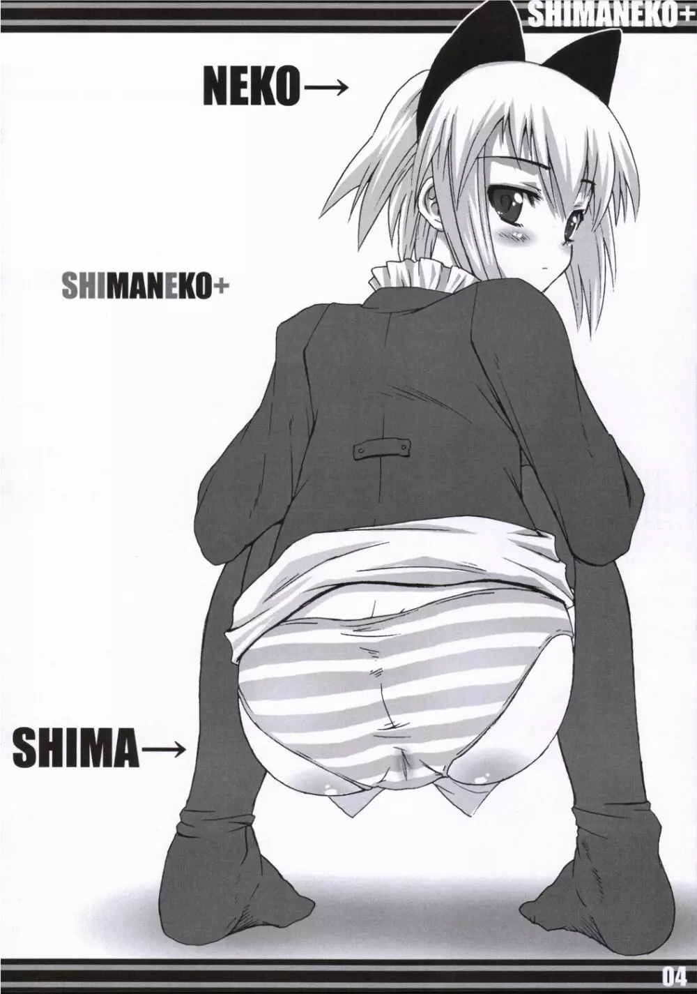 SHIMANEKO+ 3ページ