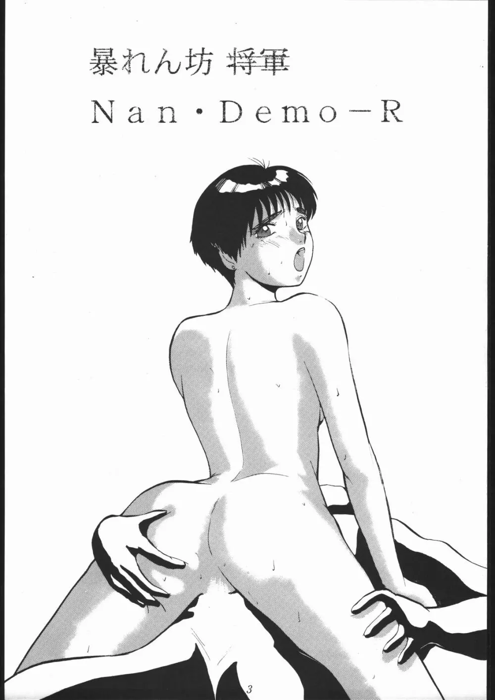 暴れん坊NanDemo-R 2ページ