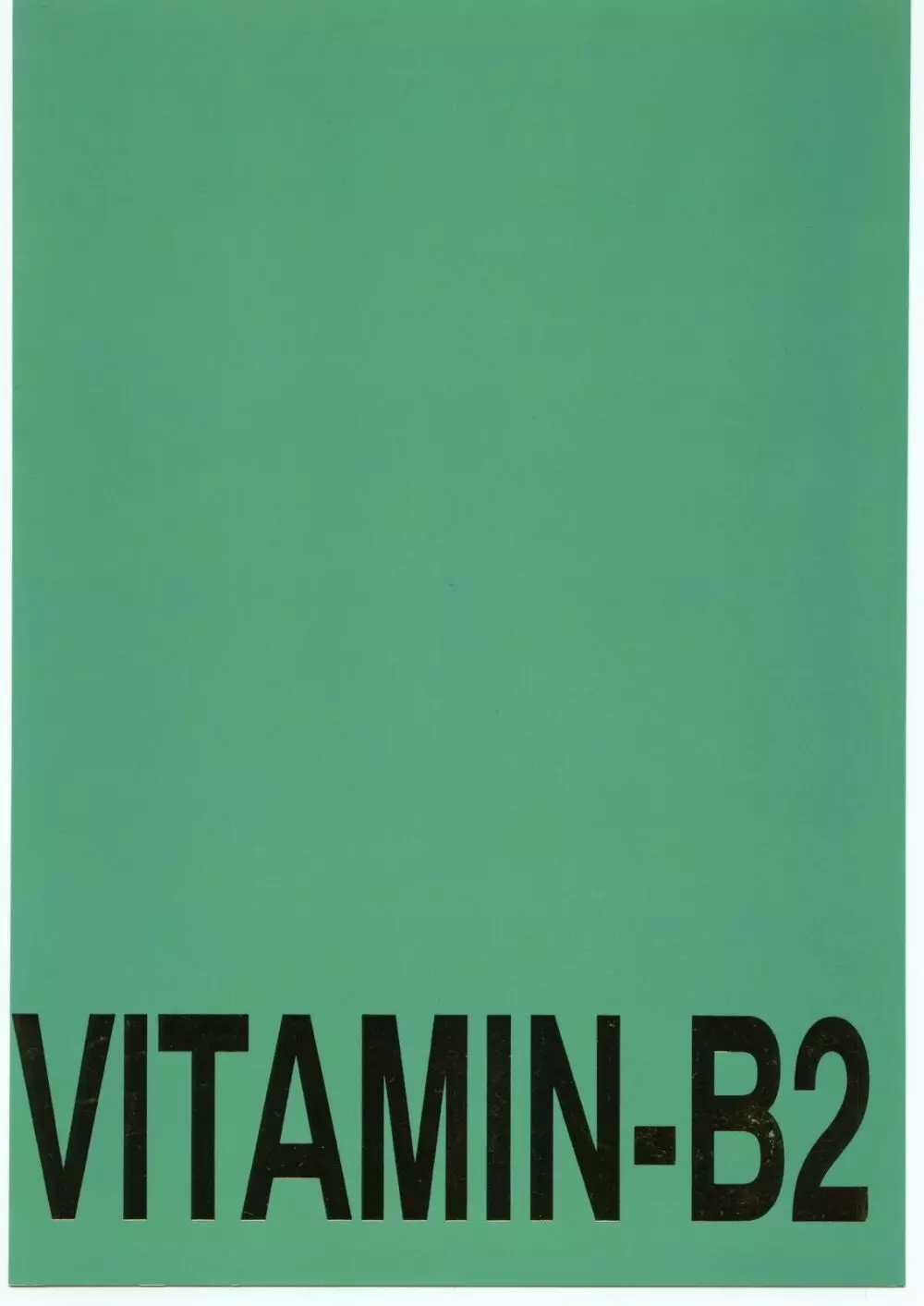 Vitamin-B2 74ページ