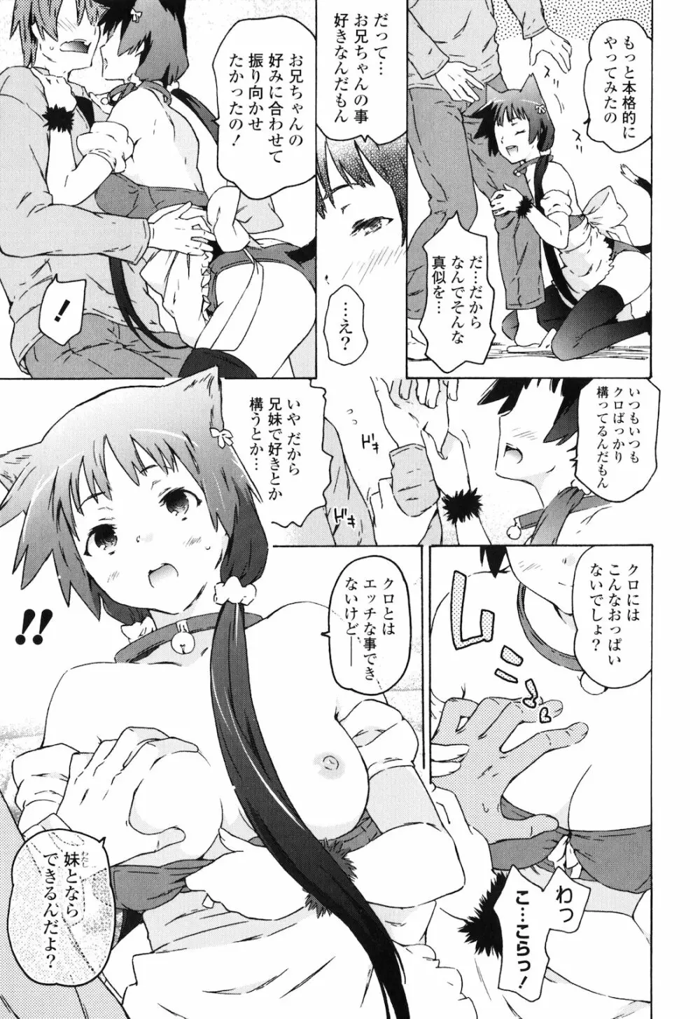 お姉ちゃんと妹は俺の嫁 118ページ