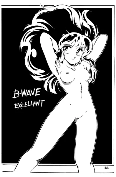 B-WAVE excellent 10ページ