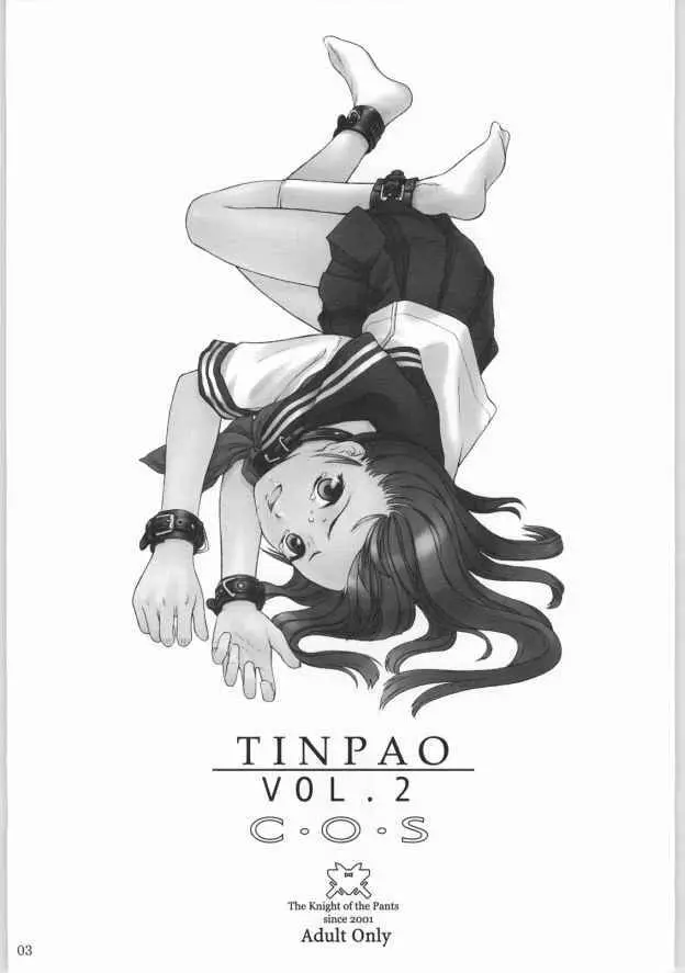 TINPAO vol.2 2ページ