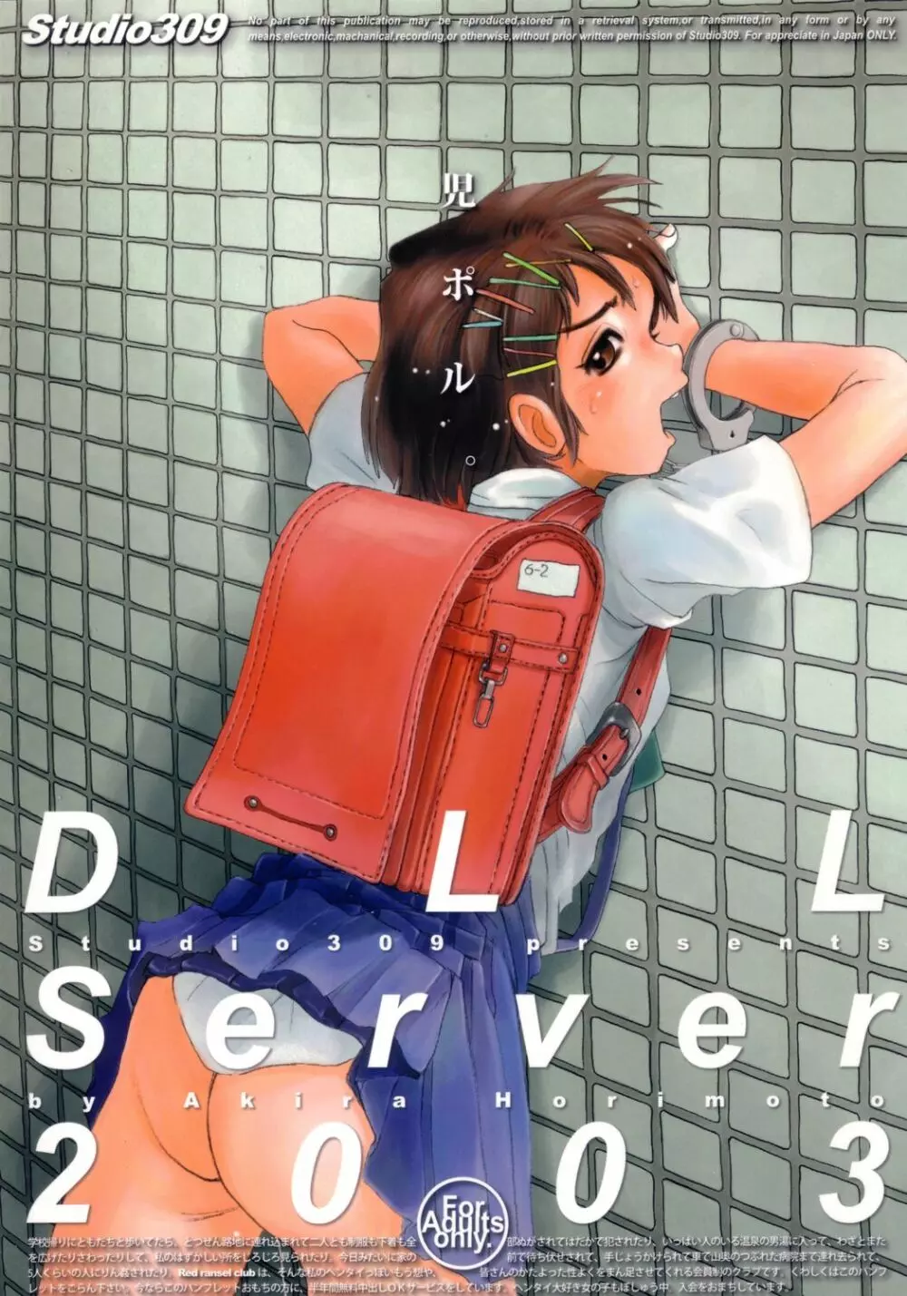 DLL Server 2003 1ページ