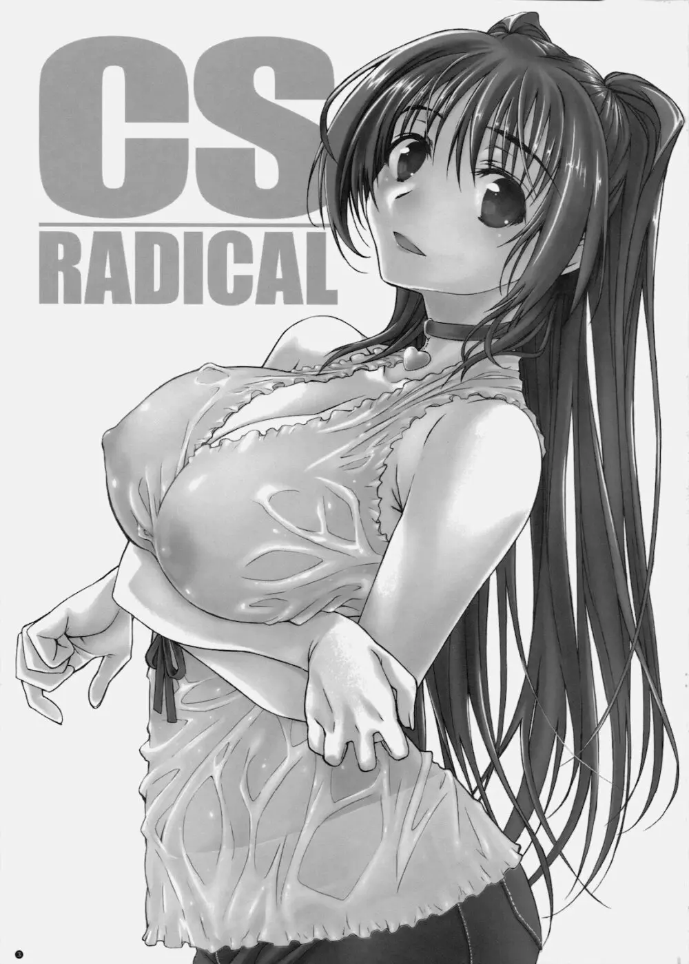 CS RADICAL 3ページ