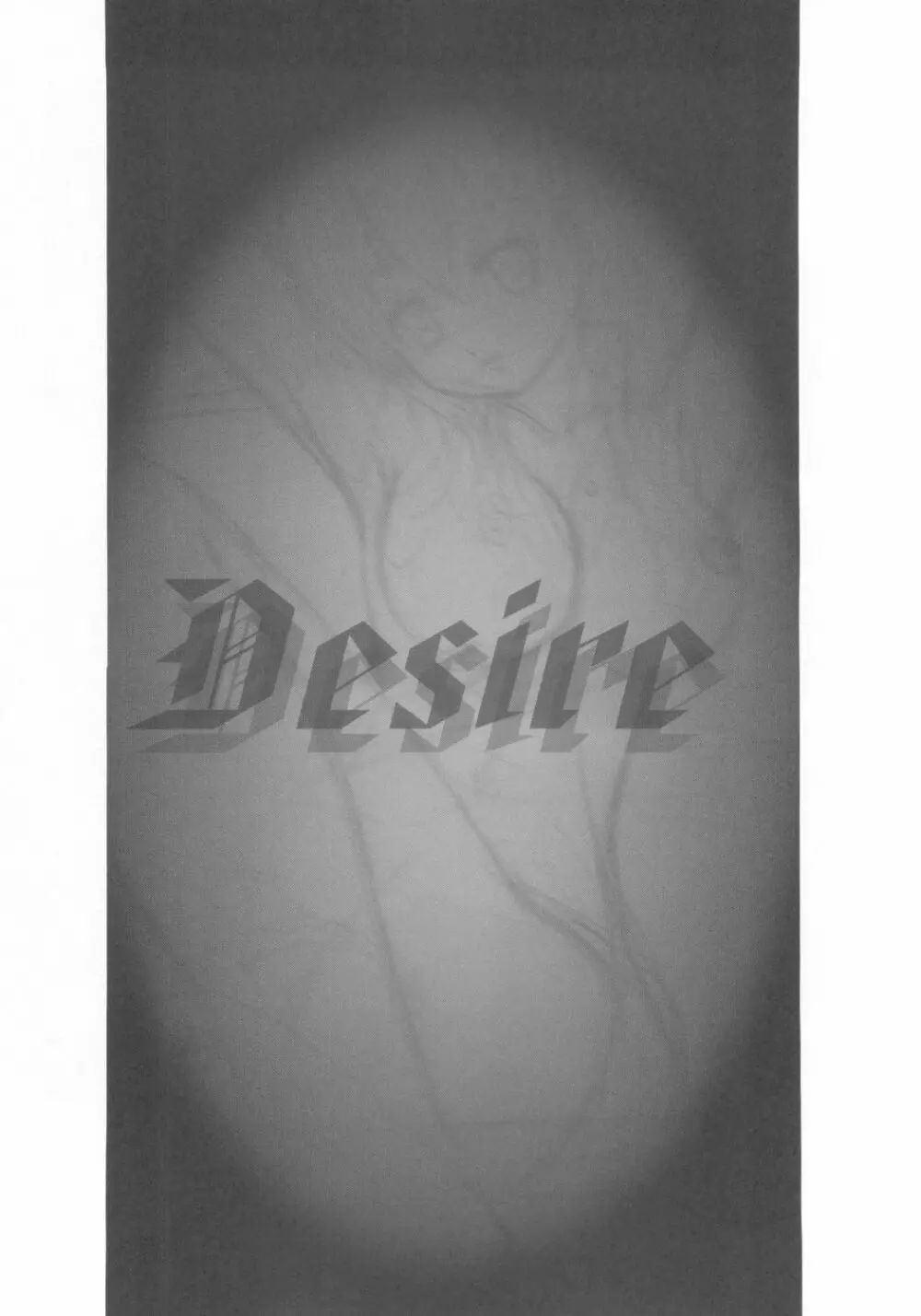 Desire 13ページ