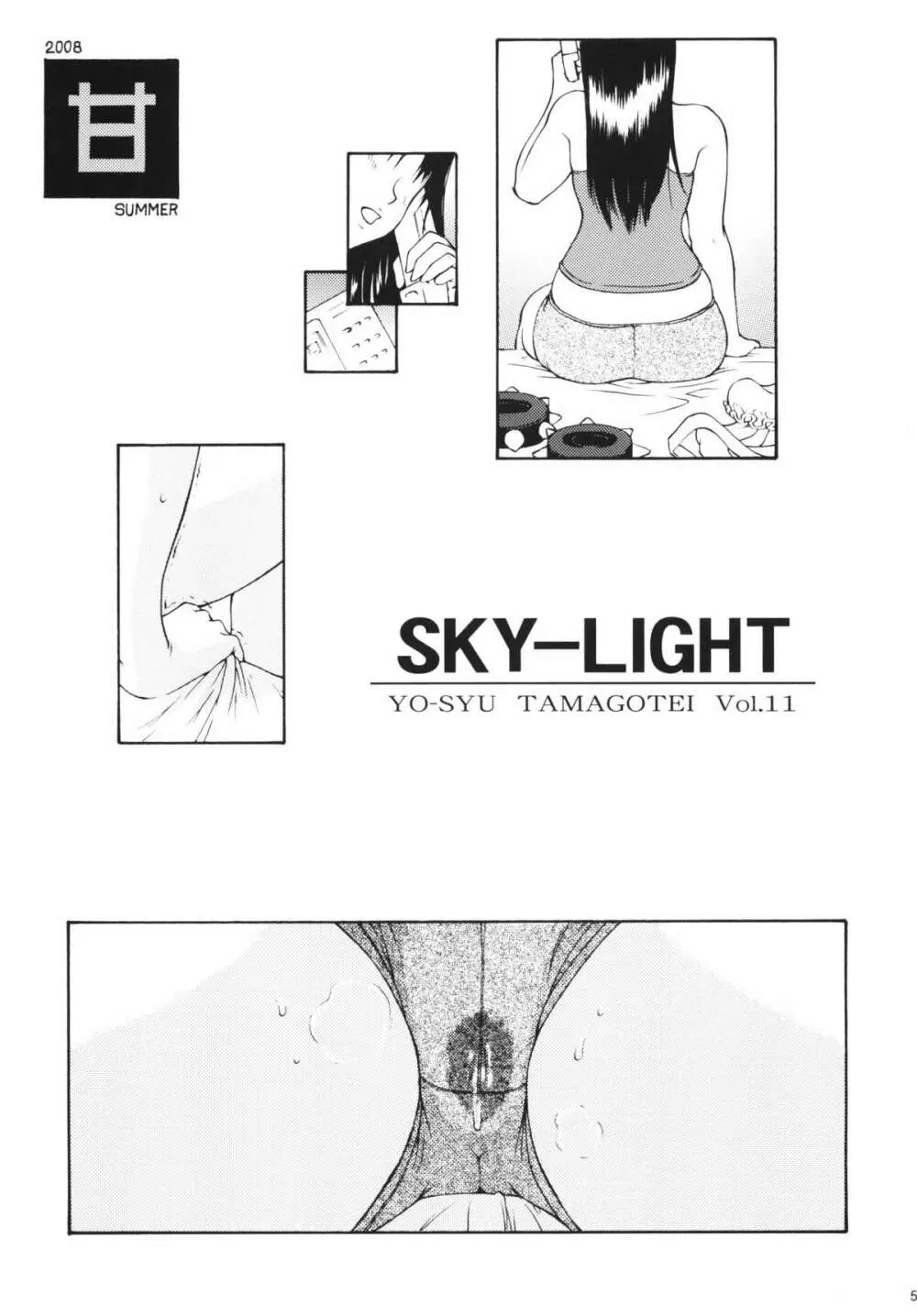 SKY LIGHT 2ページ