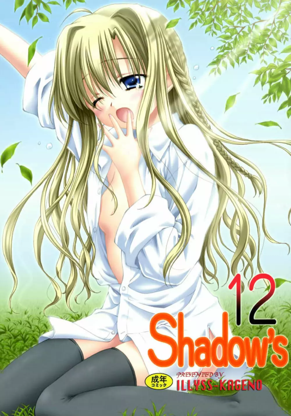 Shadow’s 12