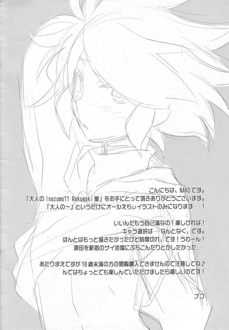 大人のInazuma11 Rakugaki集 2ページ