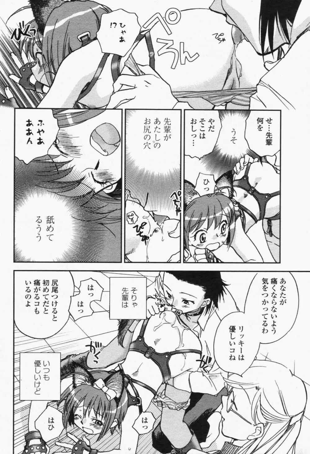 COMIC 桃姫 2006年6月号 Vol.68 260ページ