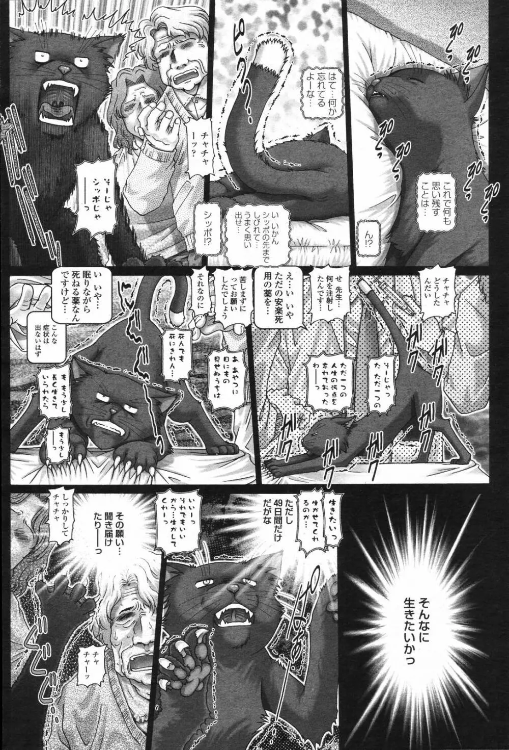COMIC 桃姫 2006年6月号 Vol.68 82ページ