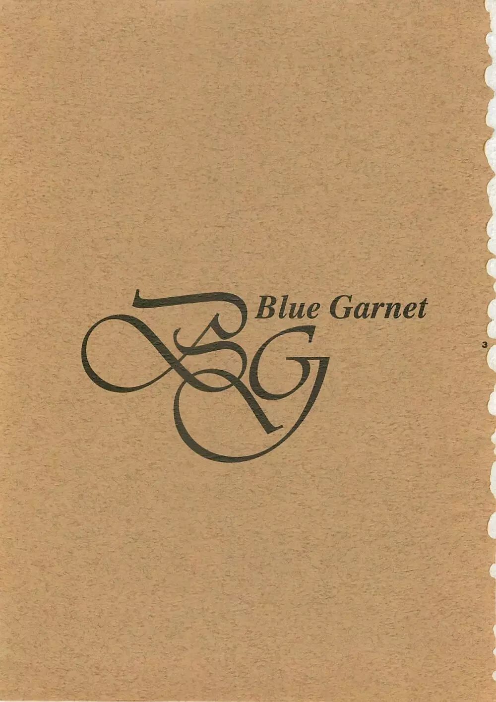 Blue Garnet Vol.4 禁区 2ページ