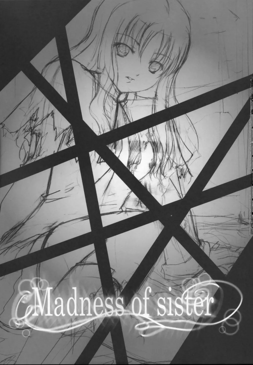 Madness of sister 2ページ