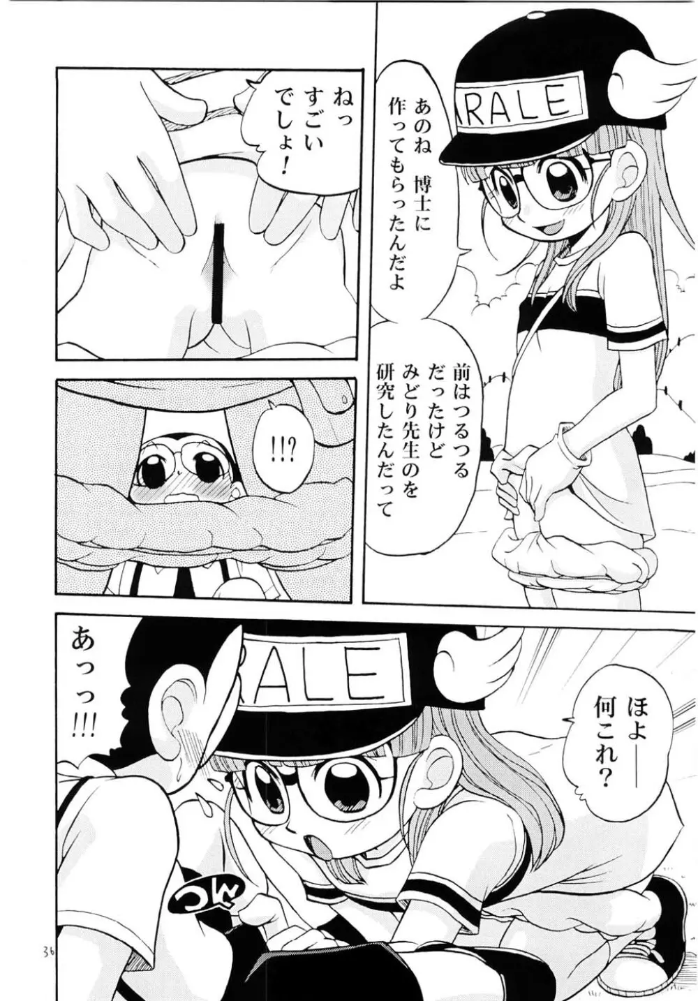 PROJECT ARALE 35ページ