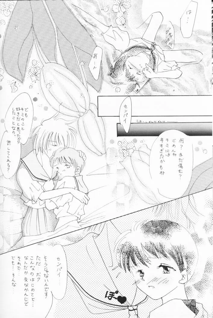 Himitsu no Hanazono 17ページ