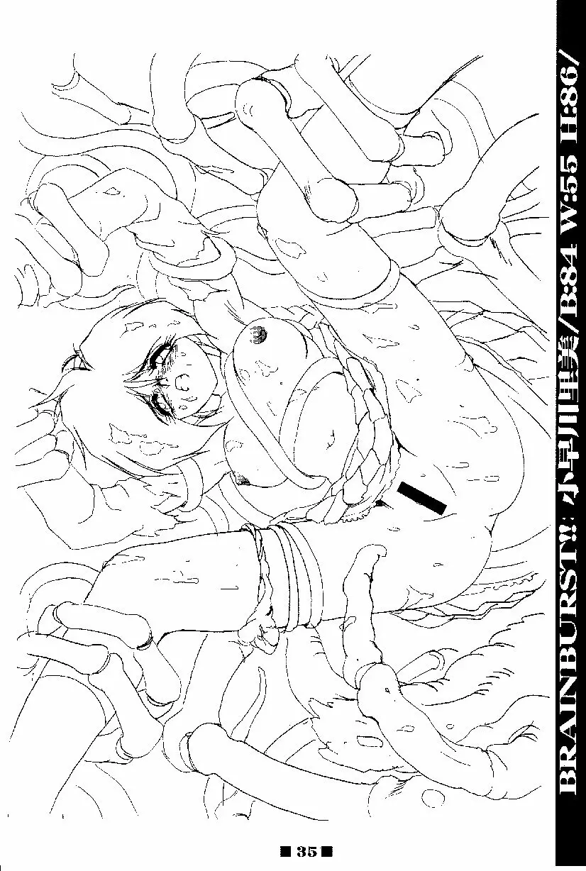 (C58) [HQ’s, RINGERBELL (梶山弘)] RB WORKS (1) GENM & BRAINBURST!! 淫獣幻夢原画集 35ページ