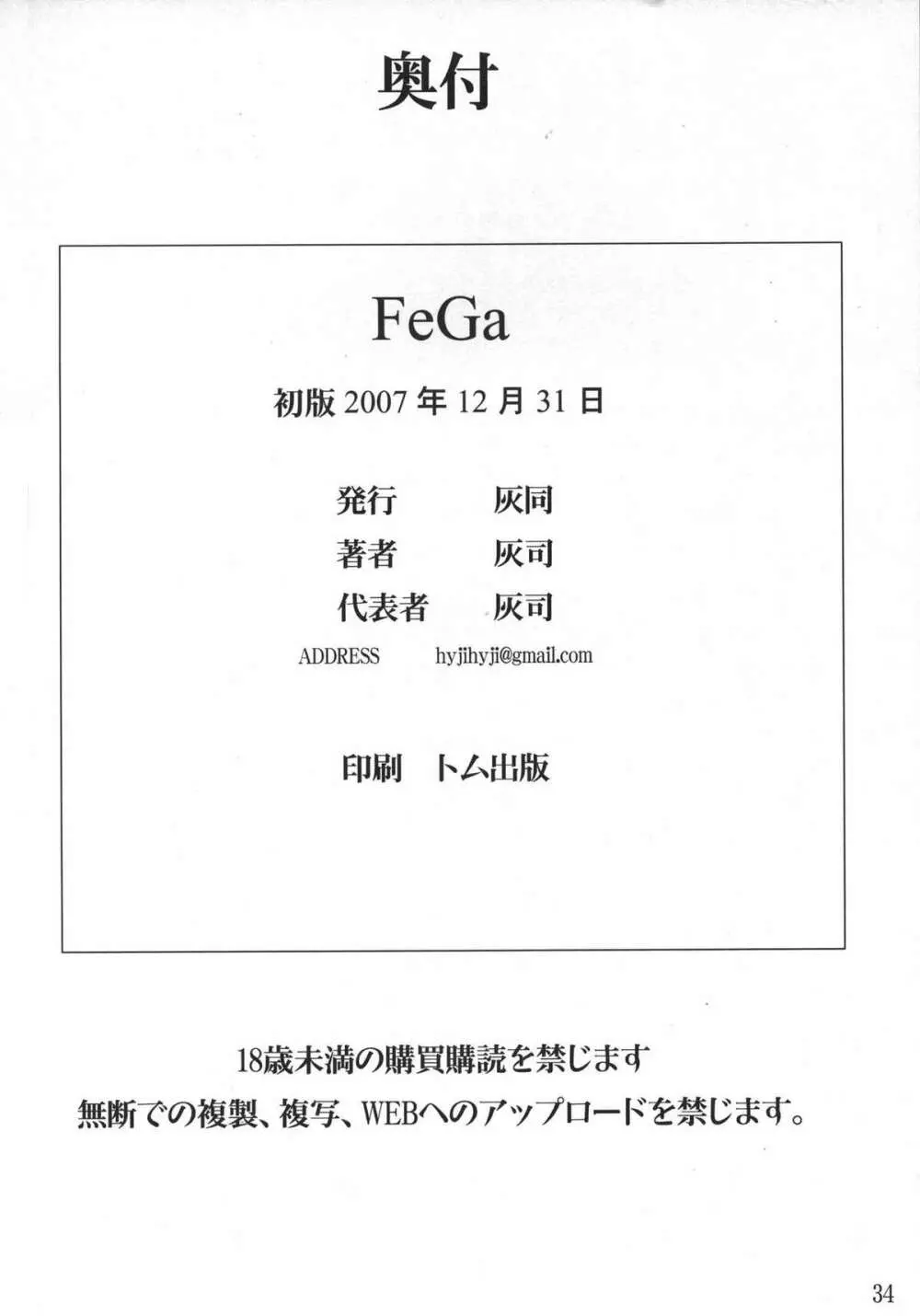 FeGa 33ページ