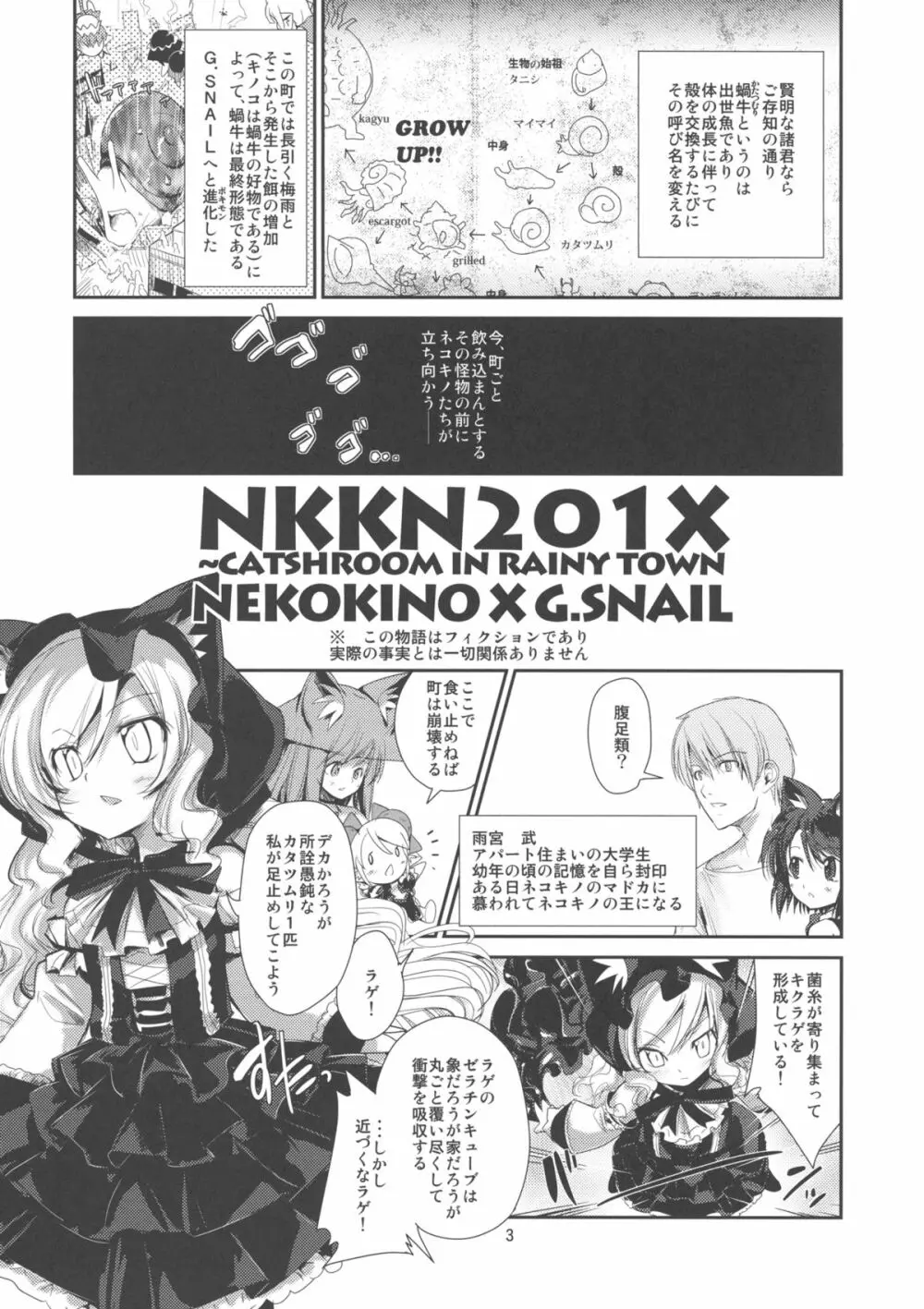 NKKN201X NEKOKINO vs G.SNAIL 3ページ