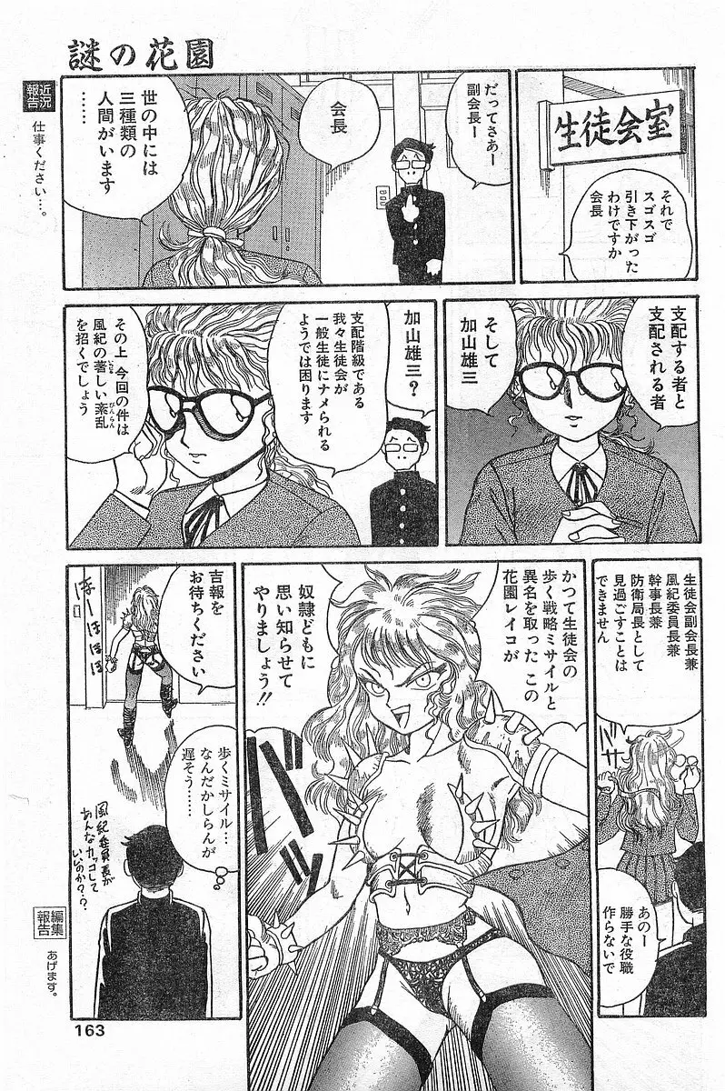 COMIC パピポ外伝 1996年04月号 Vol.21 163ページ