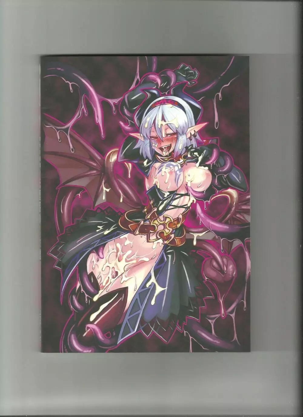 Monster Girl Encyclopedia World Guide I ～堕落の乙女達～ -Fallen Maidens- 12ページ
