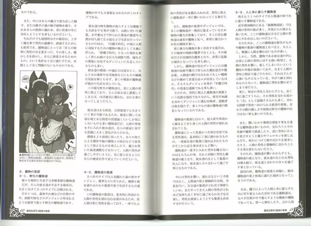 Monster Girl Encyclopedia World Guide I ～堕落の乙女達～ -Fallen Maidens- 27ページ