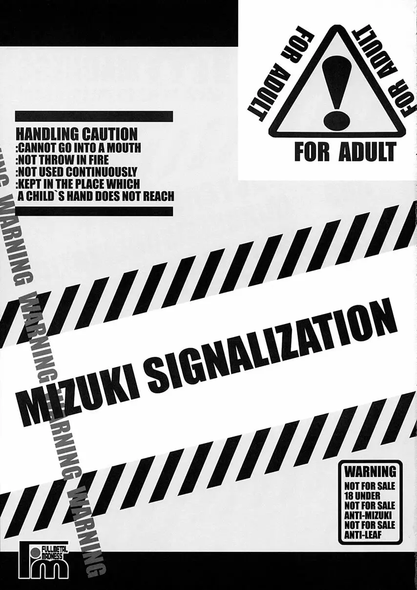 MIZUKI SIGNALIZATION 2ページ