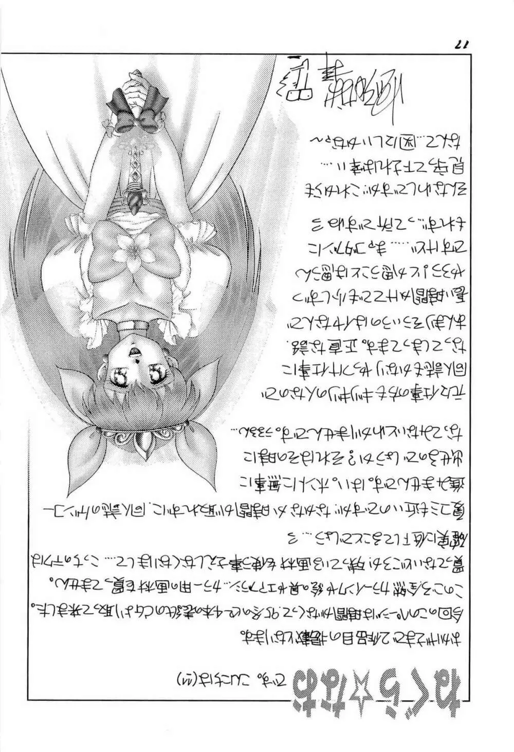 アニパロ美姫2 20ページ