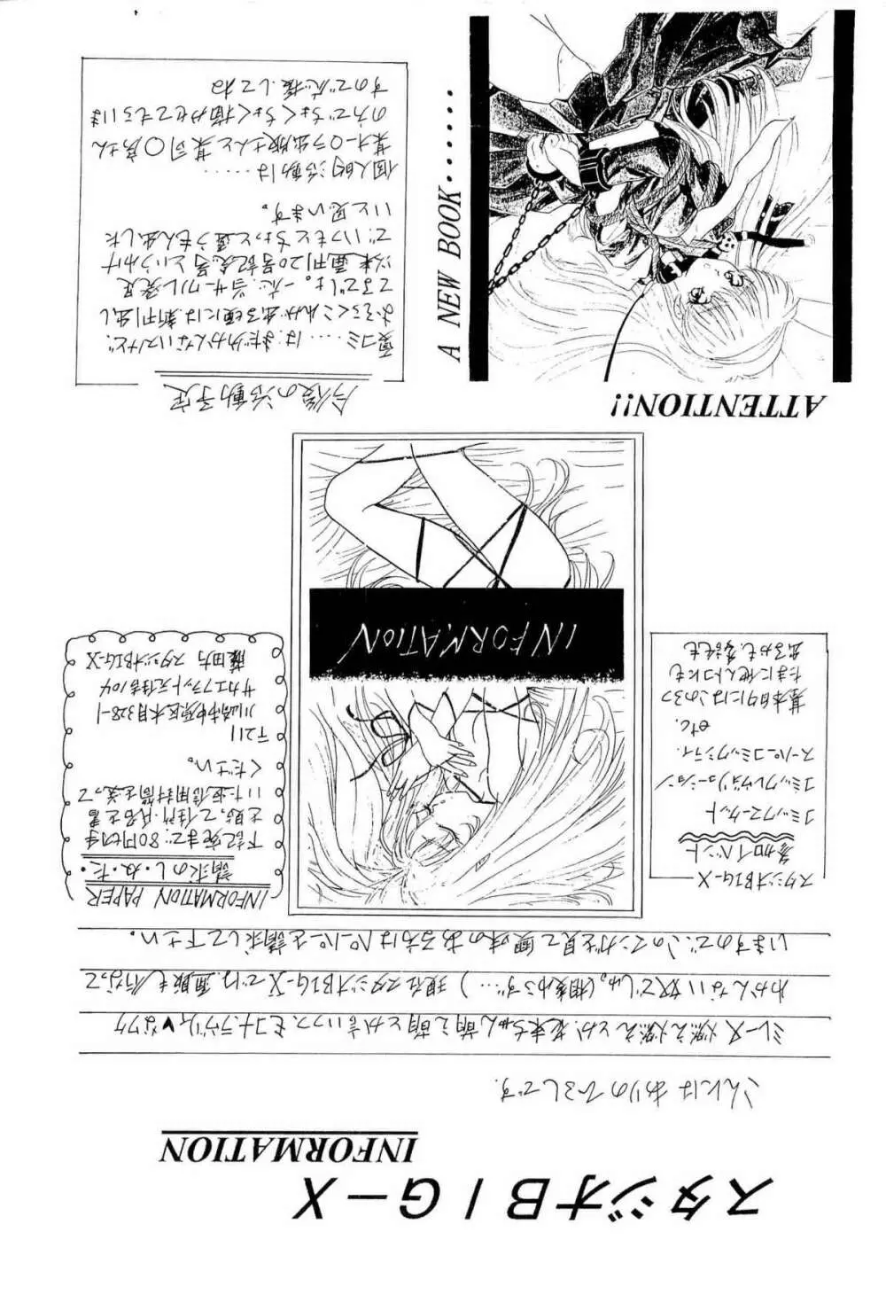 アニパロ美姫2 21ページ