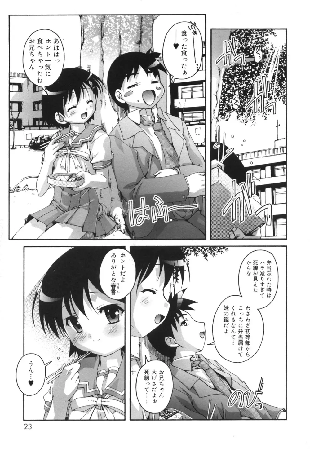 ぷちふぇちH 24ページ