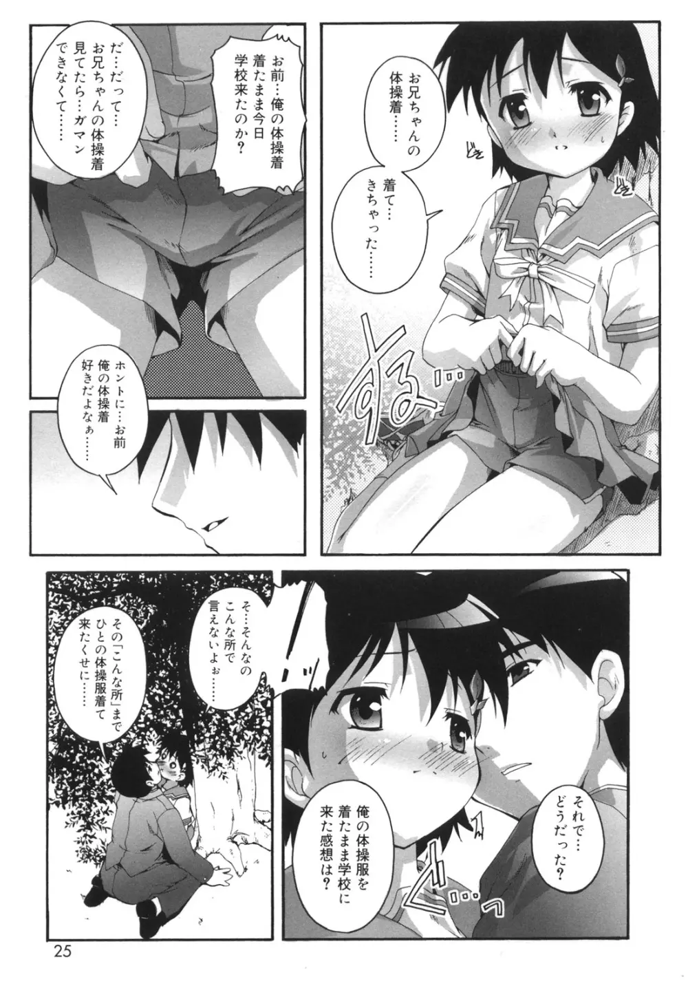 ぷちふぇちH 26ページ