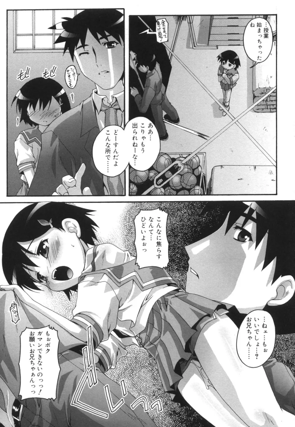 ぷちふぇちH 31ページ