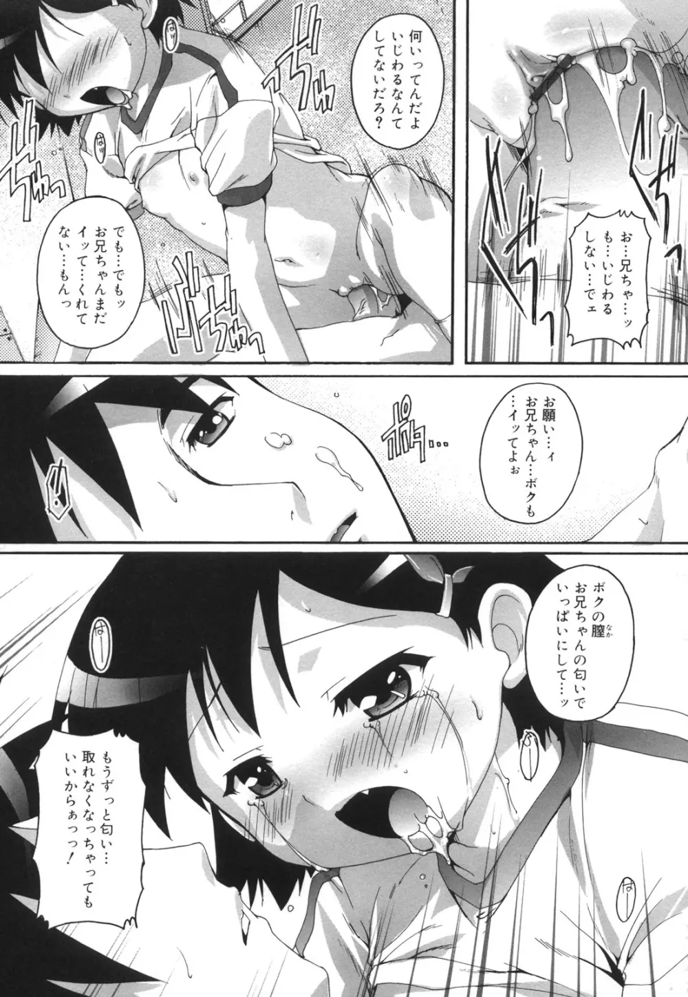 ぷちふぇちH 40ページ