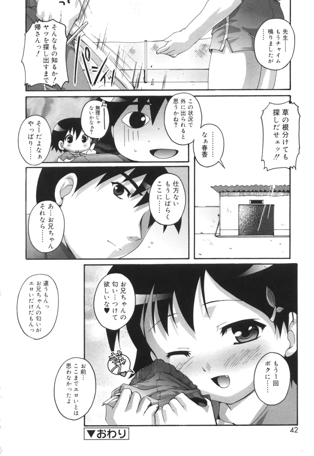 ぷちふぇちH 43ページ