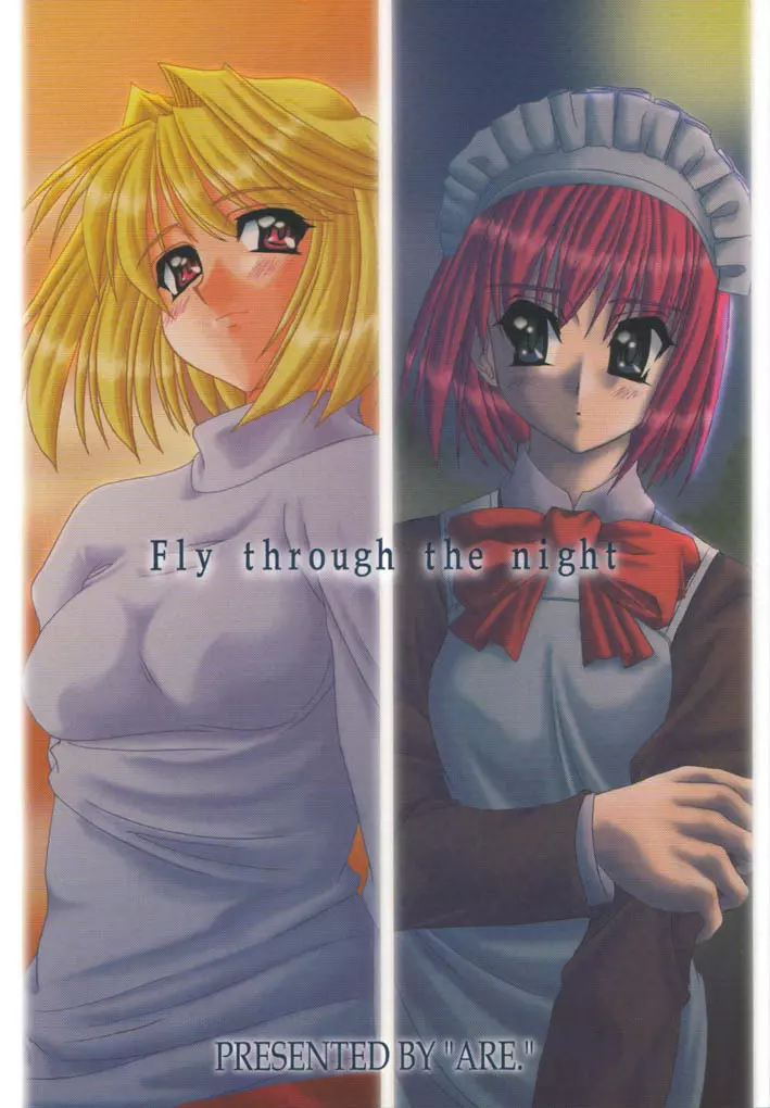 Fly through the night 1ページ