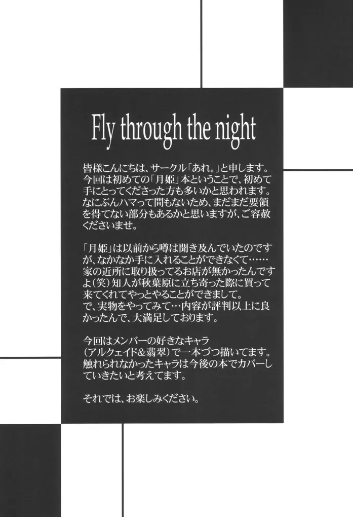 Fly through the night 3ページ