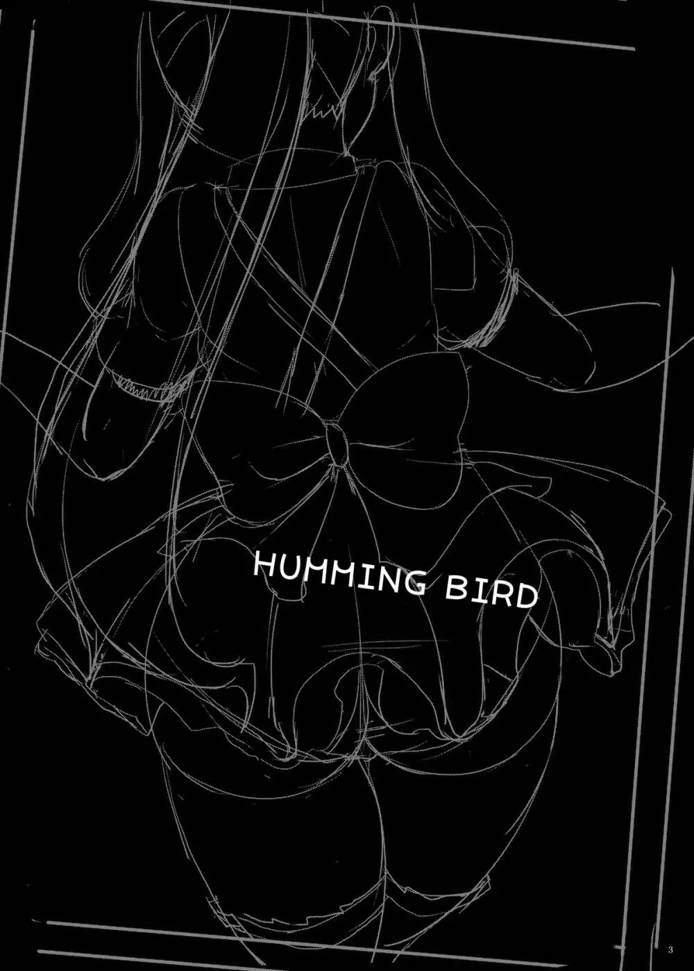 HUMMING BIRD 3ページ