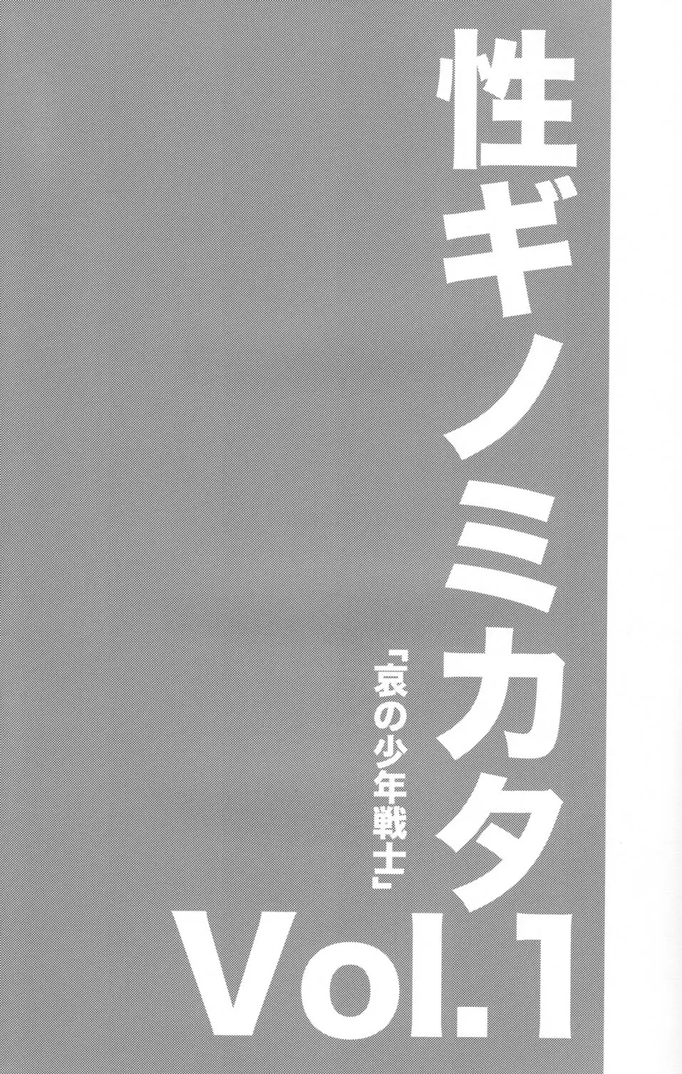 性ギノミカタ Vol.1 3ページ