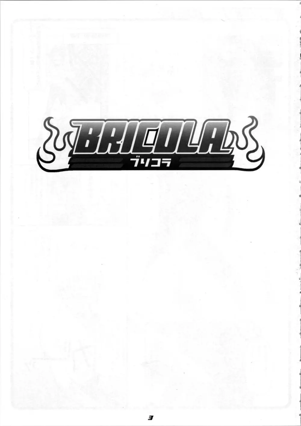 BRICOLA 3ページ