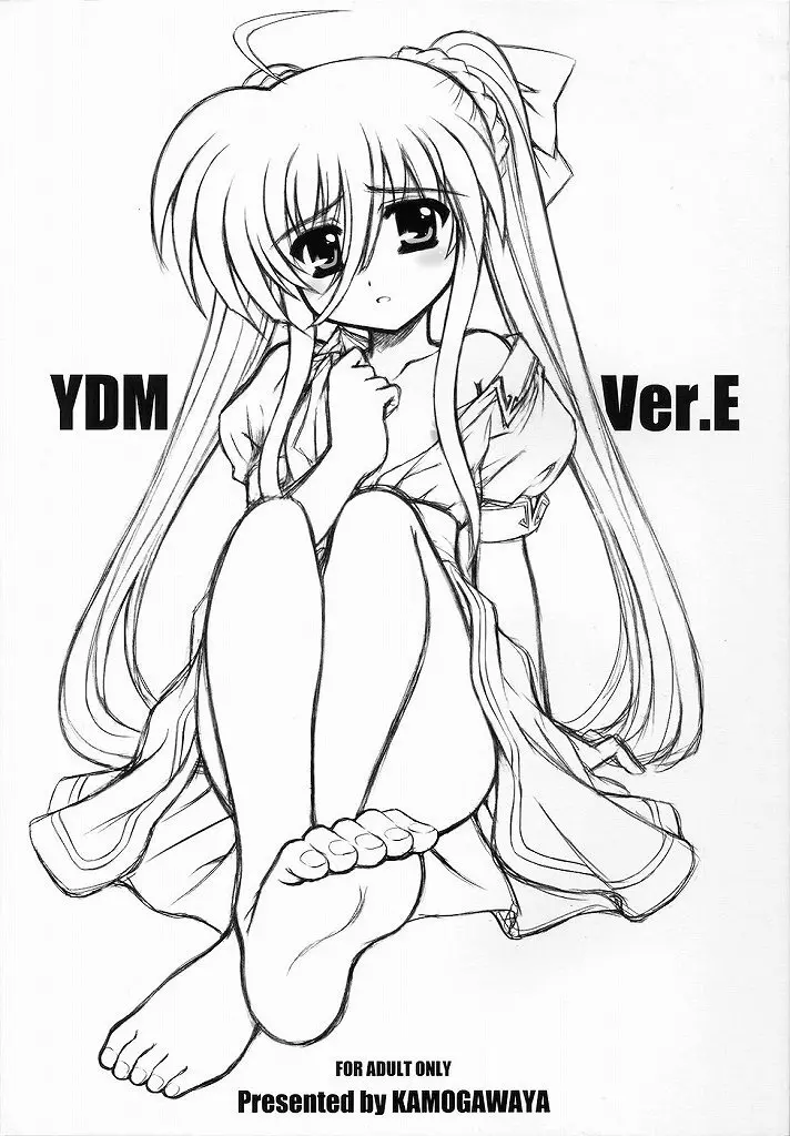 YDM Ver.E 1ページ