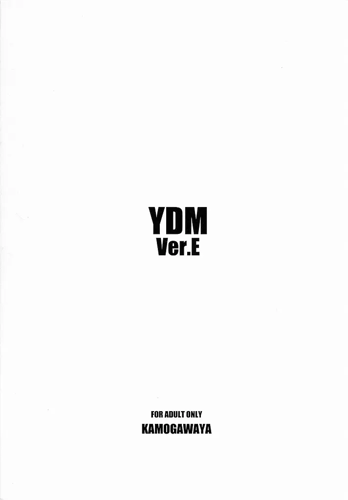 YDM Ver.E 22ページ