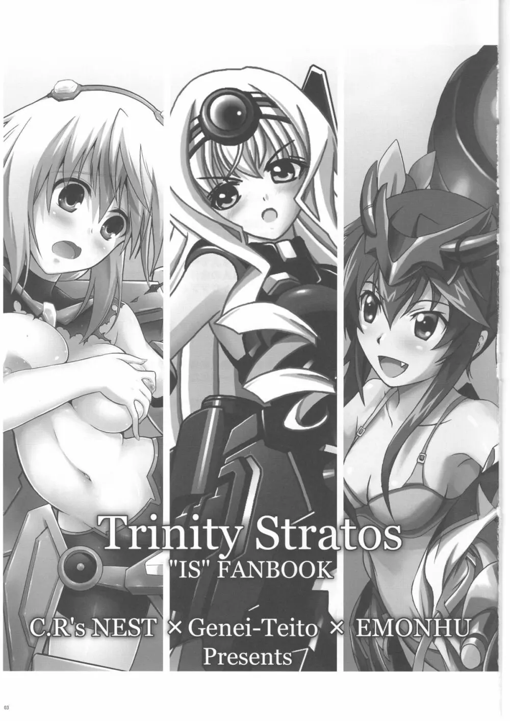 Trinity Stratos 3ページ