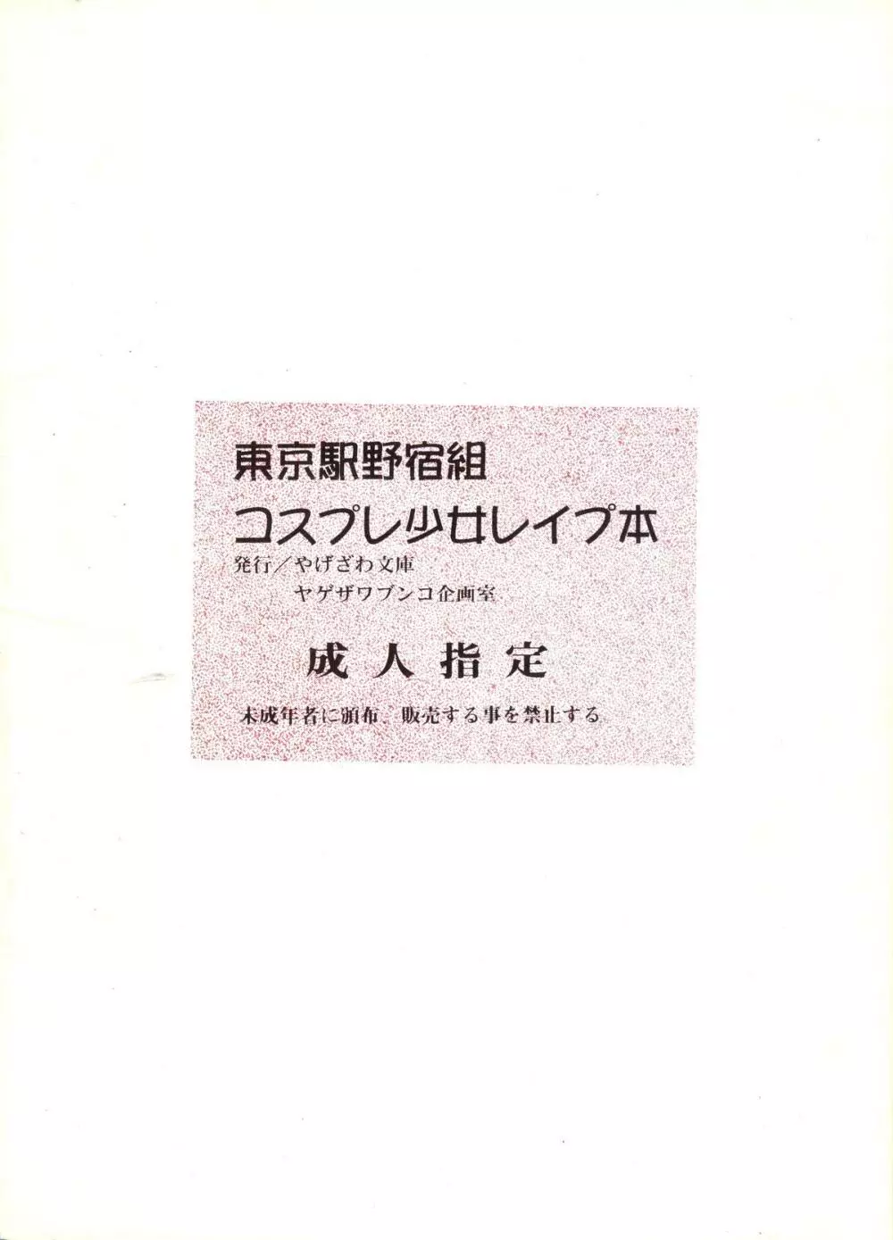 東京駅野宿組コスプレ少女レイプ本 34ページ